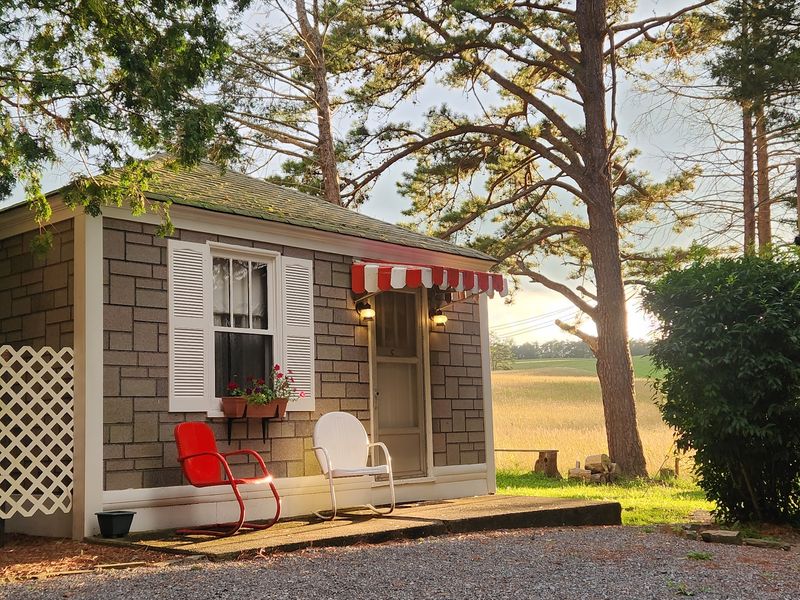 Themed Cabins Worth Choosing Carefully Before You Book Themed Cabins Worth Choosing Carefully Before You Book