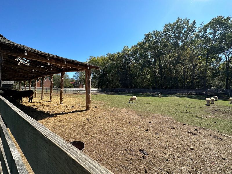 Thirty-Plus Buildings and a Farm Full of Rare Breeds