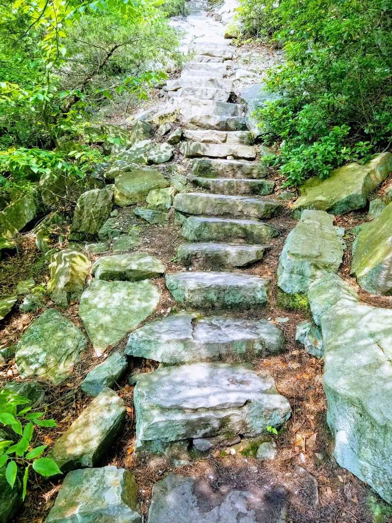 Thousand Steps on the Standing Stone Trail Thousand Steps on the Standing Stone Trail