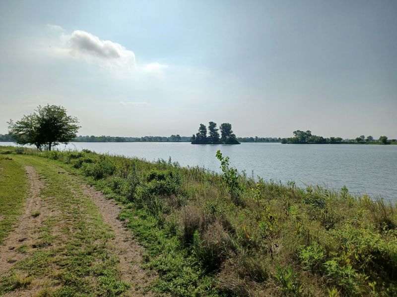 Thousands Of Migratory Birds Stopping Over On The Water