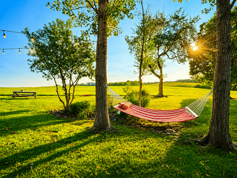 Three Acres of Hammocks, Cornhole, and Doing Absolutely Nothing Three Acres of Hammocks, Cornhole, and Doing Absolutely Nothing