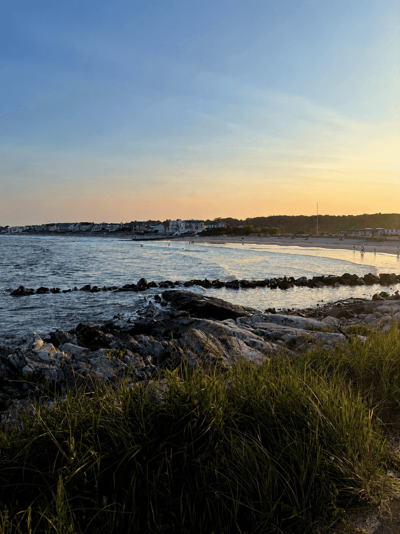 Tide Pools Where Tiny Sea Drama Unfolds