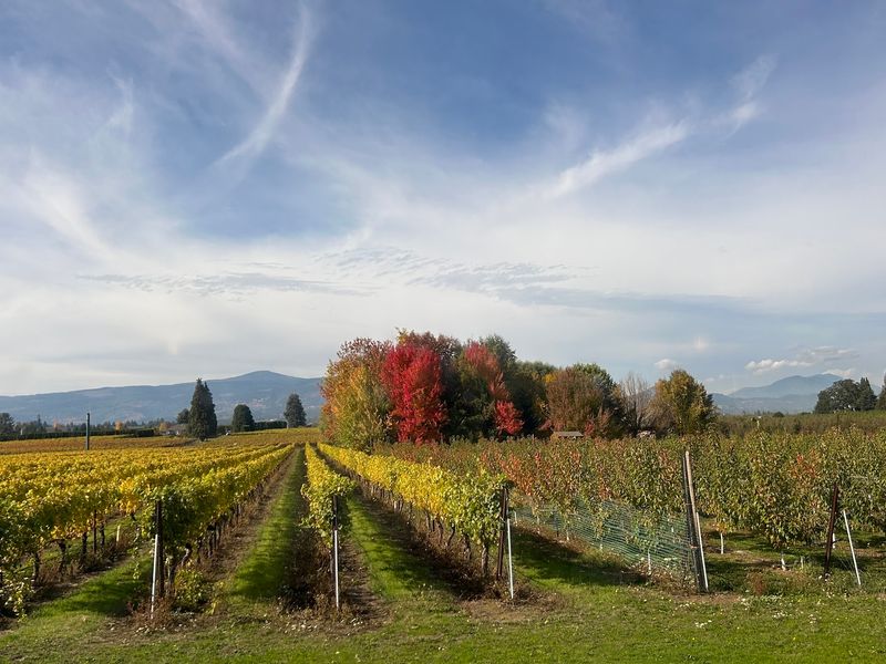 Timing Your Trip for Peak Foliage Timing Your Trip for Peak Foliage