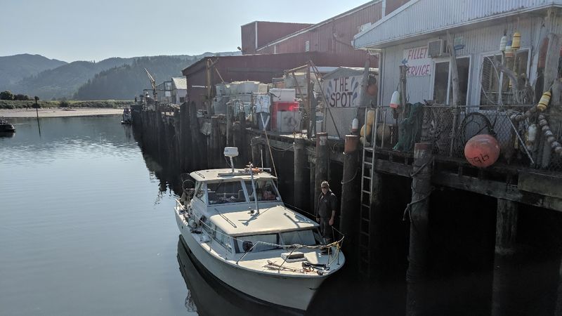 Timing Your Visit Around the Catch