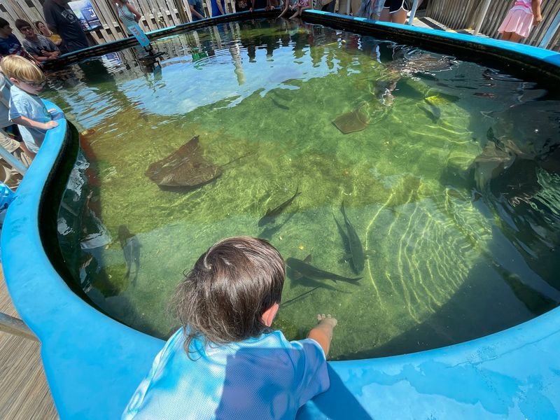 Touch Tanks, Shell Mounds, and Sunsets Worth Waiting For Touch Tanks, Shell Mounds, and Sunsets Worth Waiting For