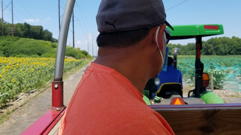 Tractor Rides Around The Property