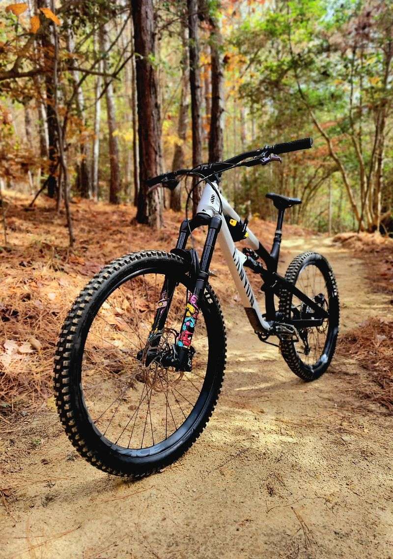 Trails, Bikes, and Picnic Tables