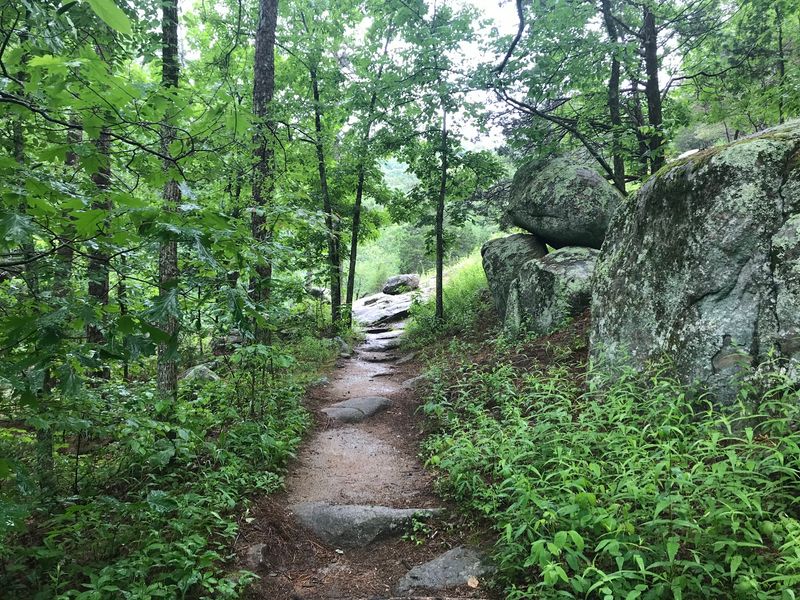 Trails Built For Actual Hiking Trails Built For Actual Hiking