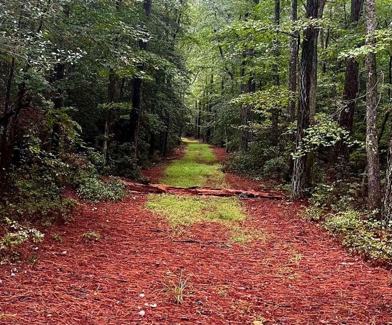 Trails, Campsites, and Daylight Bliss Trails, Campsites, and Daylight Bliss