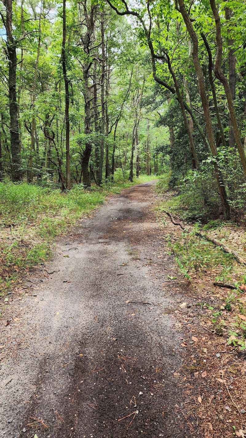 Trails For Anyone Who Prefers Their Own Two Feet Trails For Anyone Who Prefers Their Own Two Feet
