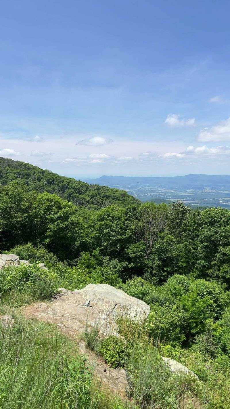 Trails Nearby For Anyone Who Wants To Stretch Trails Nearby For Anyone Who Wants To Stretch