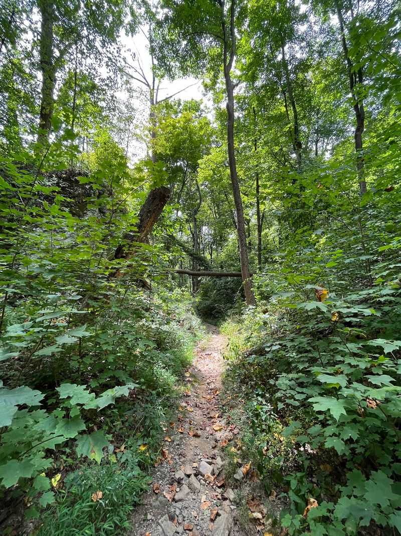 Trails That Climb Higher Than They Look Trails That Climb Higher Than They Look