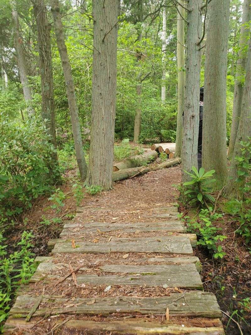 Trails That Double as History Lessons Trails That Double as History Lessons