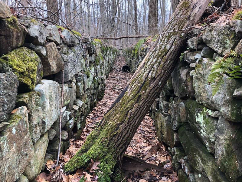Trails That Make You Feel Like an Explorer