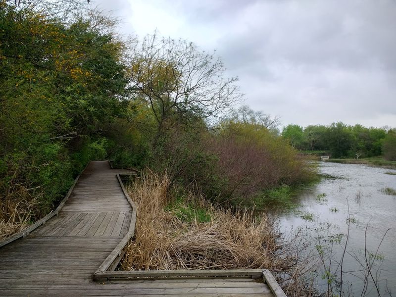Trails That Reward Slow Walking Trails That Reward Slow Walking