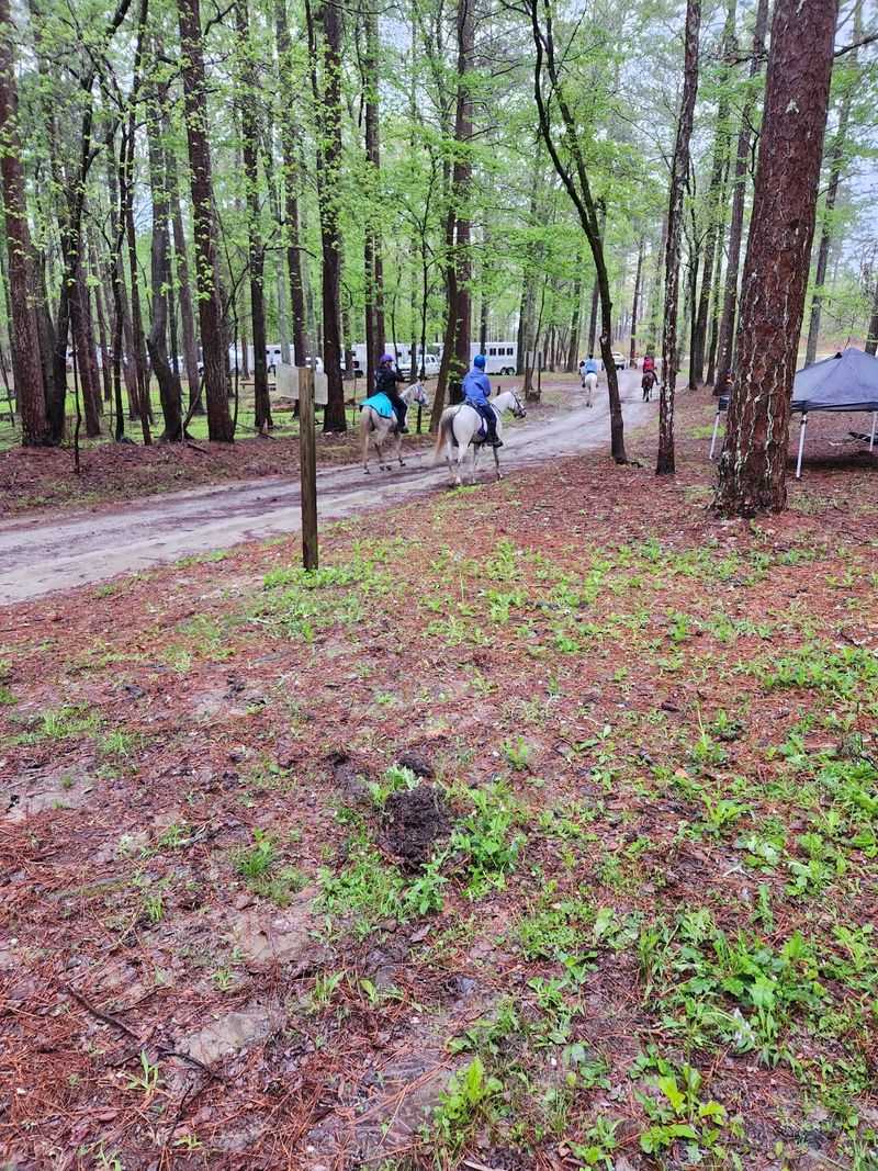 Trails That Start Right Outside the Tent Flap