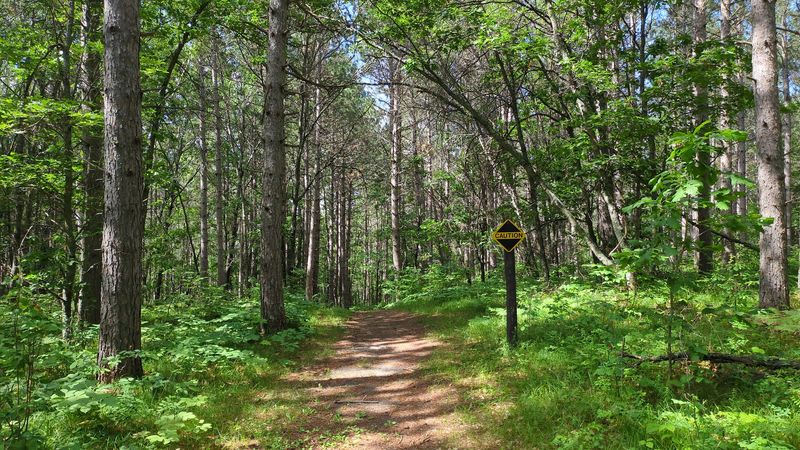 Trails That Suit Both Short Legs and Long Afternoons