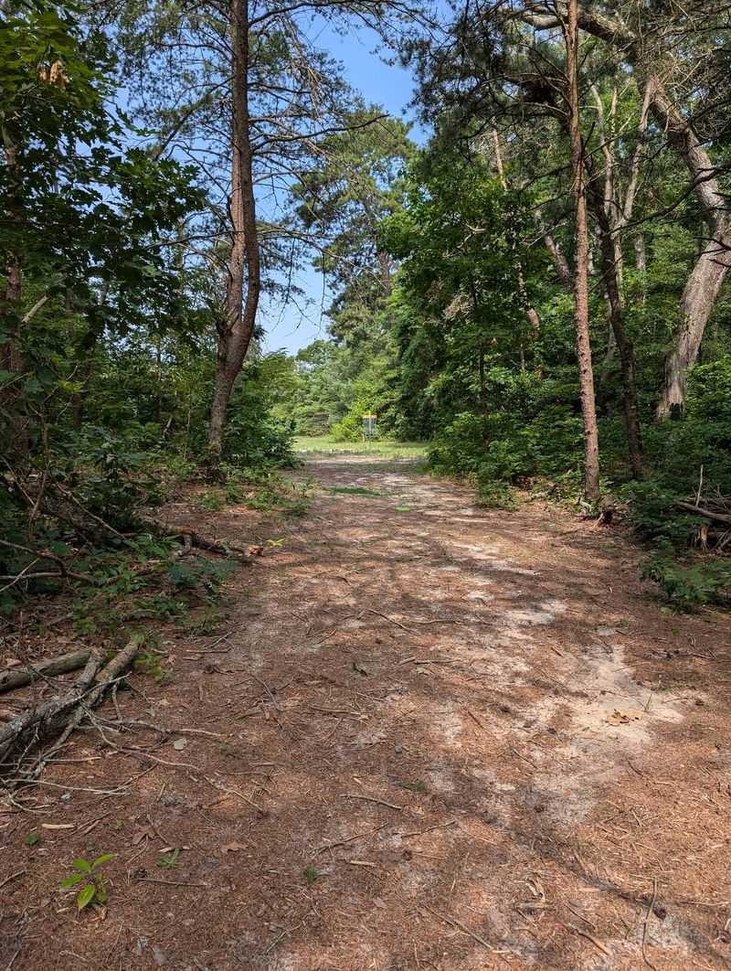 Trails That Trade Pavement For Sand And Shade