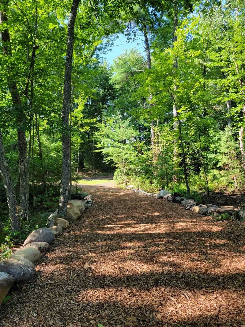 Trails That Wander Through Woods and Memories Trails That Wander Through Woods and Memories