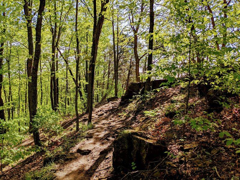Trails That Wind Through The Old Quarry