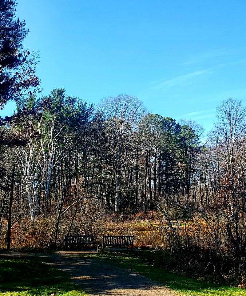 Trails Through Woods, Meadows, and Hills