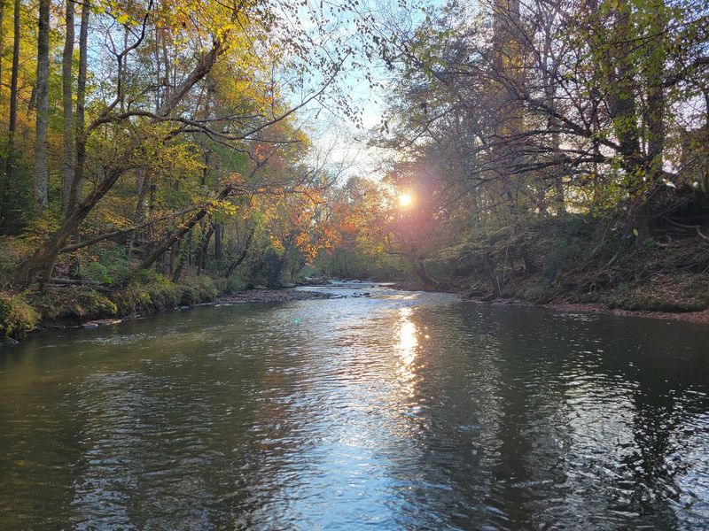 Trails Through the 29-Acre Preserve