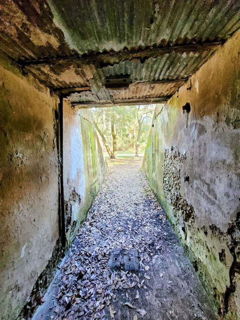 Trails, Tunnels, and Spanish Moss