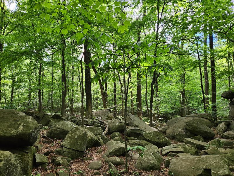 Trails With Personality Trails With Personality