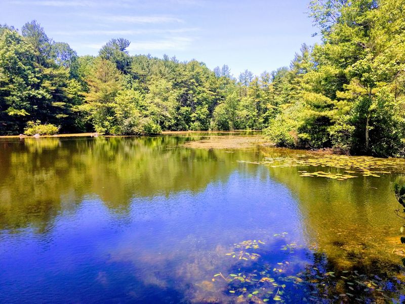 Trails and Forests for Stretching Your Legs Trails and Forests for Stretching Your Legs