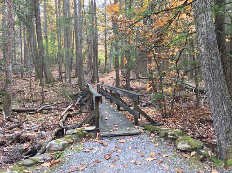 Trails for Every Pair of Legs