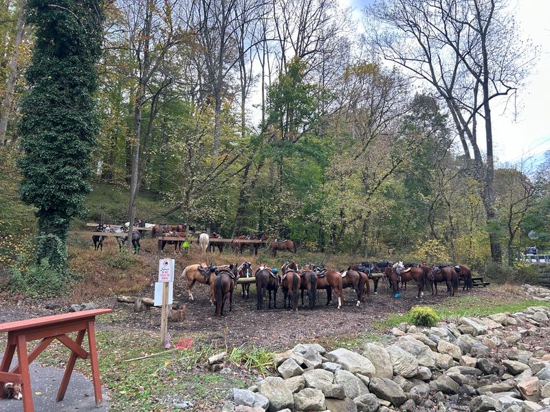Trailside Stop for Hikers, Bikers, and Horseback Riders
