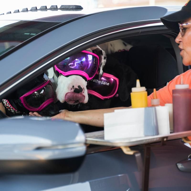 Trays That Hook Right Onto Your Car Door Trays That Hook Right Onto Your Car Door