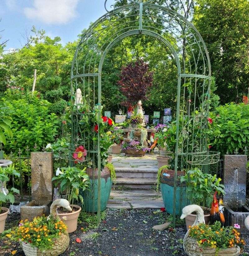 Trees, Shrubs And The Whole Outdoor Yard