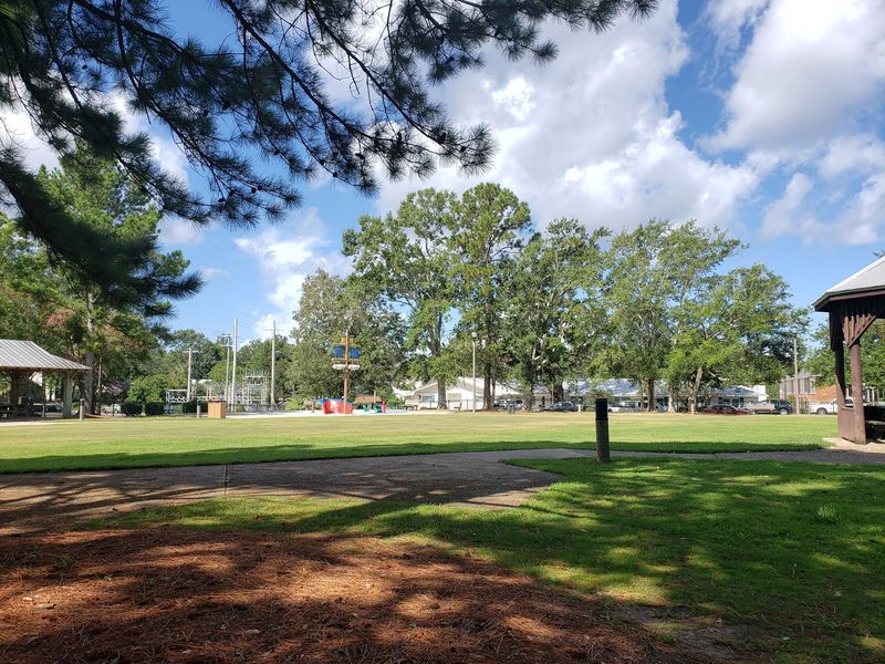 Trees, Trails, and a Whole Lot of Birdsong