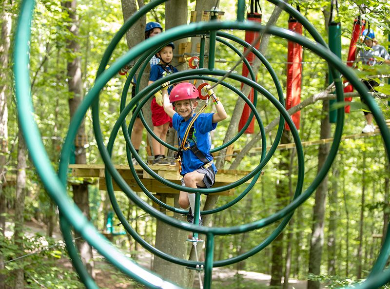 Treetop Zip Lines and the Aerial Ropes Course Treetop Zip Lines and the Aerial Ropes Course