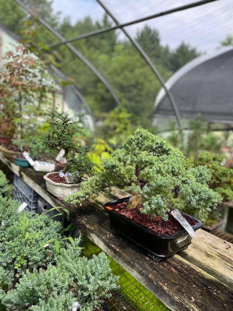 Tropical Species And Cold Hardy Ones, Housed Separately