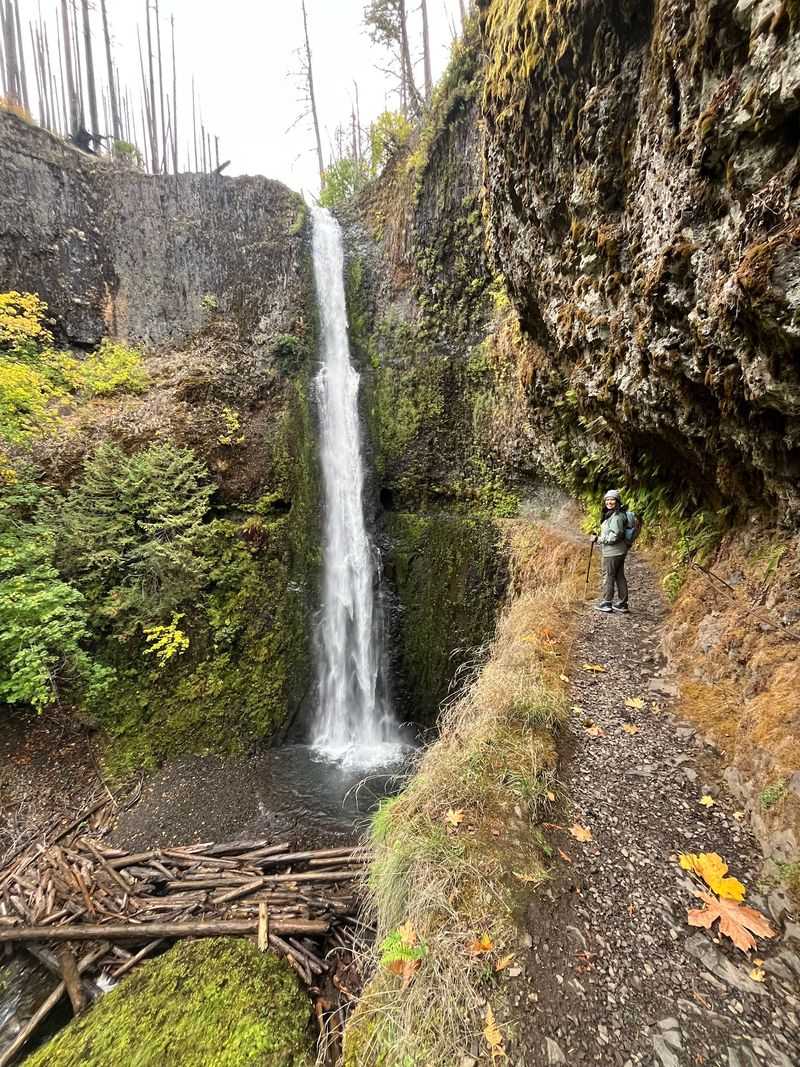 Tunnel Falls, Where The Path Goes Behind The Water