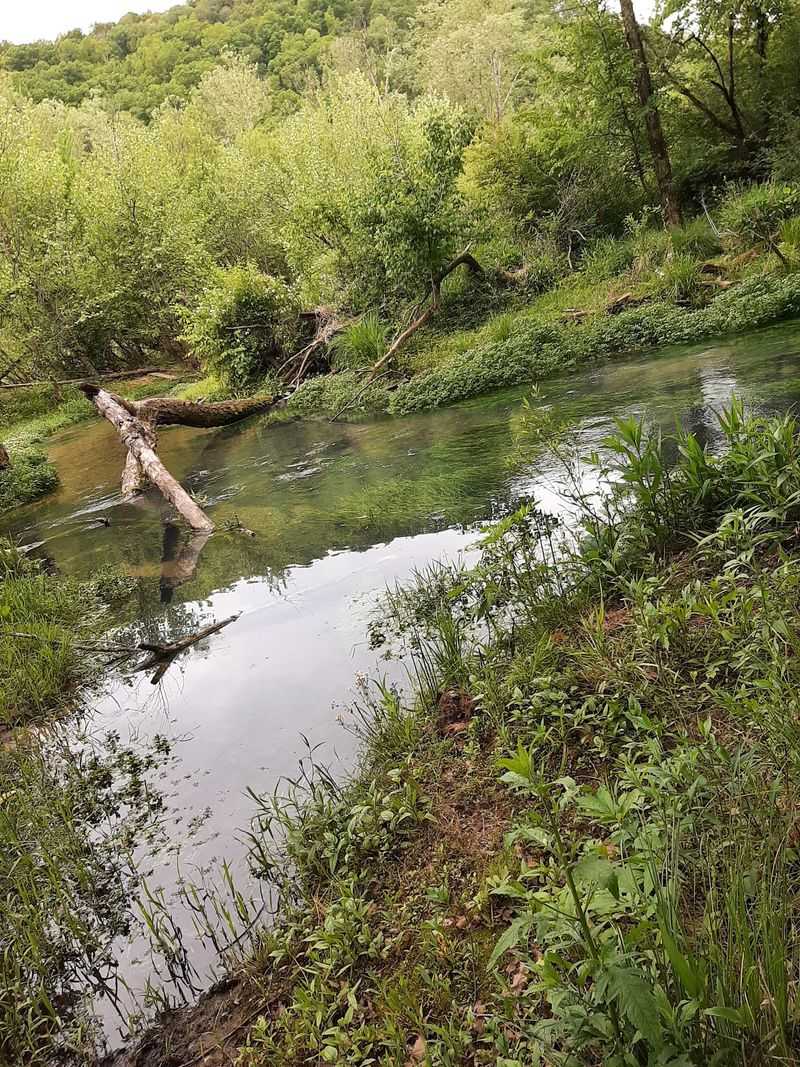 Turner Spring Pouring Straight Out Of A Bluff