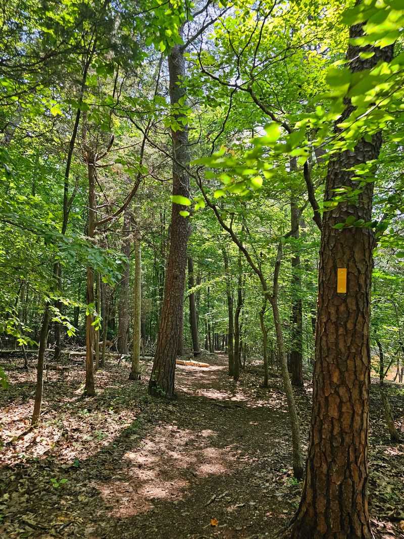 Turtle Island Trail Is Short, Sweet And Sneaky Pretty Turtle Island Trail Is Short, Sweet And Sneaky Pretty