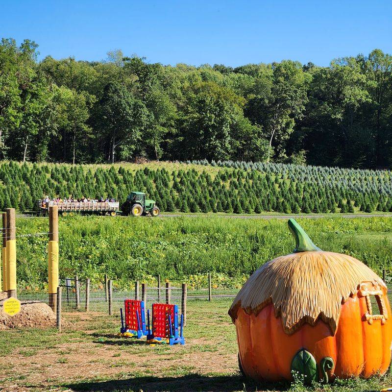 Twelve Acres of Pumpkins and a Hayride to Get There Twelve Acres of Pumpkins and a Hayride to Get There