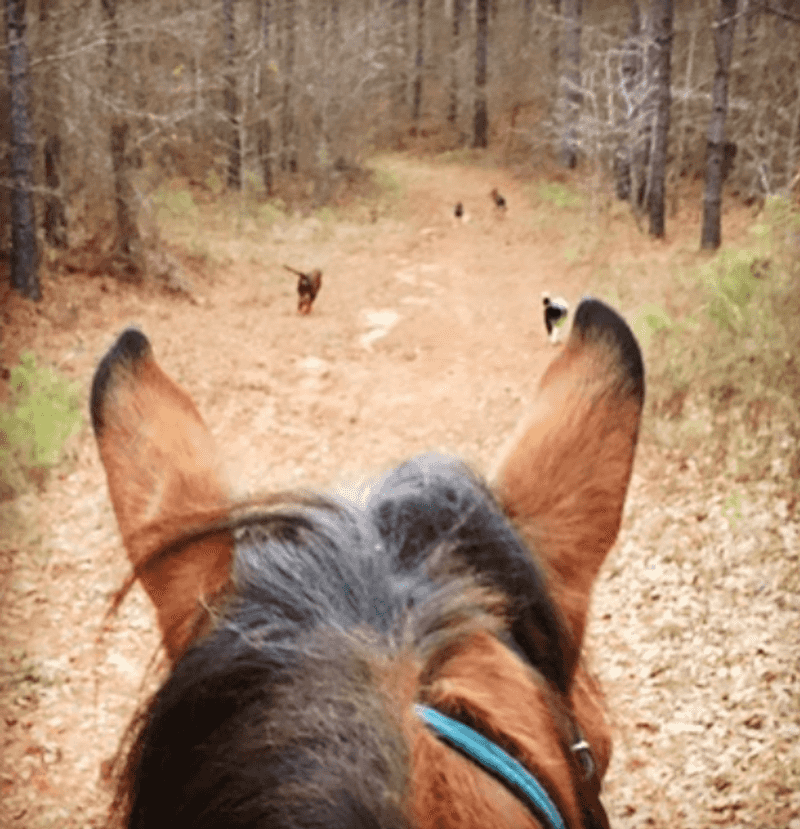 Twenty-Five Miles Of Trails That Never Feel Crowded Twenty-Five Miles Of Trails That Never Feel Crowded