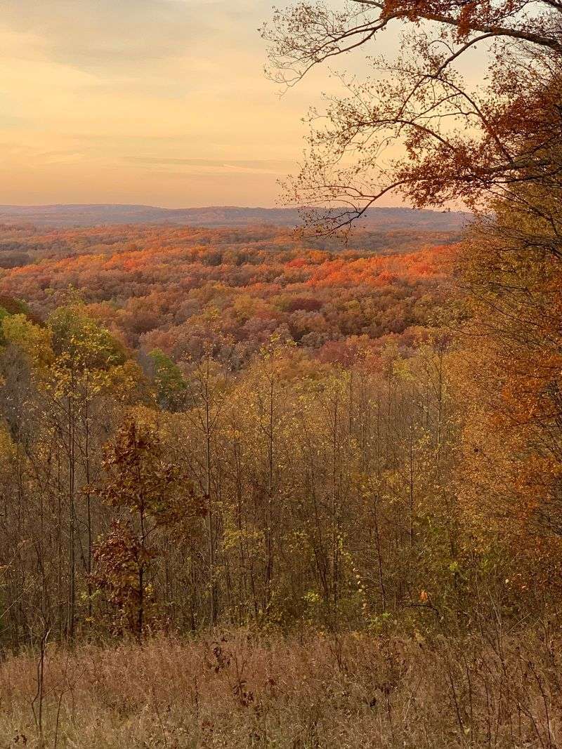 Twenty-Four Thousand Acres of Unglaciated Indiana Twenty-Four Thousand Acres of Unglaciated Indiana