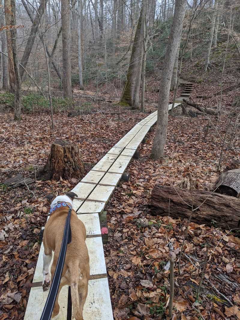 Twenty Six Miles Of Choices, From Easy Strolls To Leg Burners