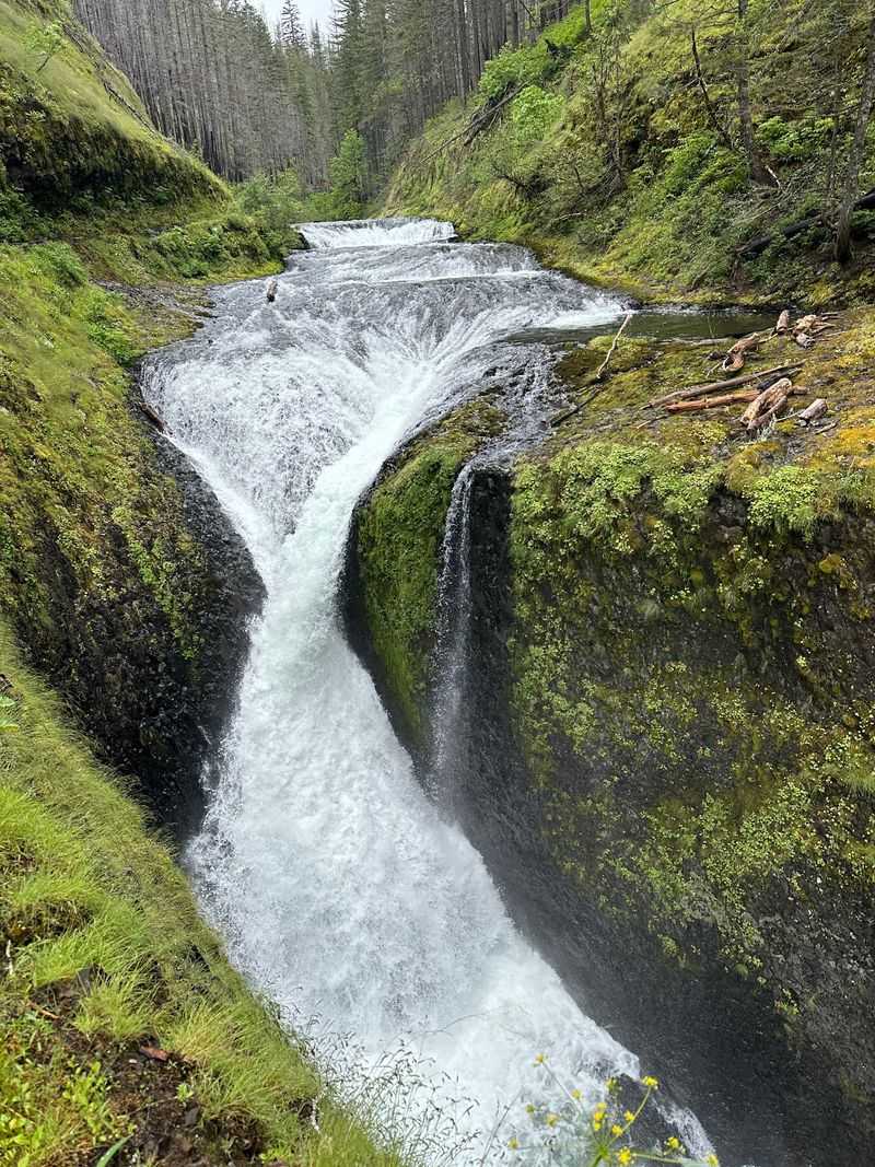 Twister Falls For Legs With Something Left