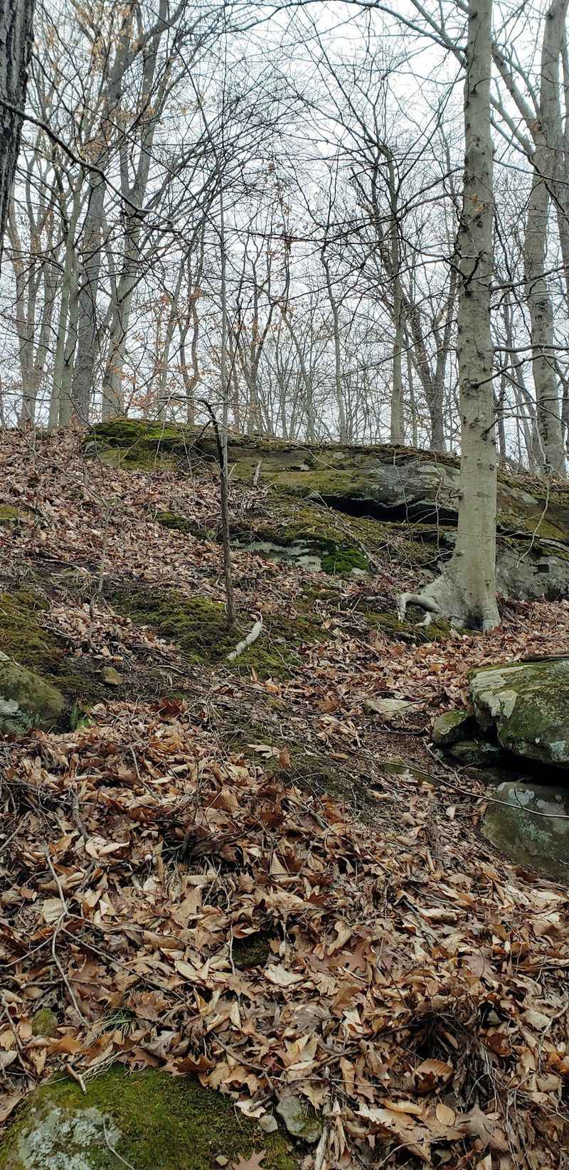 Two Trails, 270 Acres, and a Wetland Bonus