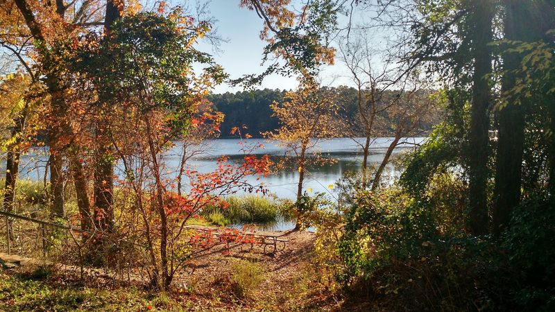 Tyler State Park Tyler State Park