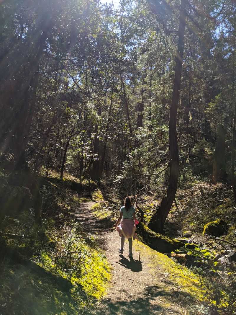 Uphill Both Ways, Or So It Feels