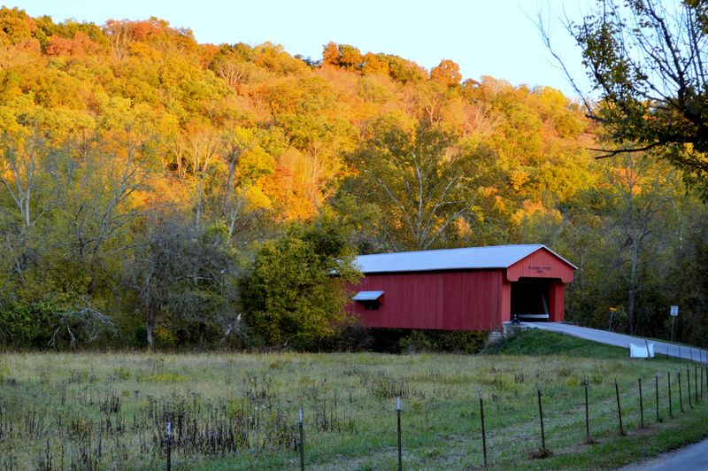 Versailles State Park, Rolling Hills And A Covered Bridge