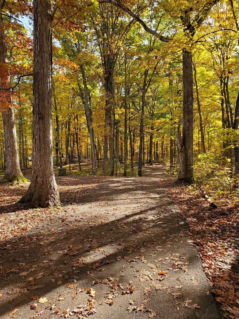 Versailles State Park, Versailles
