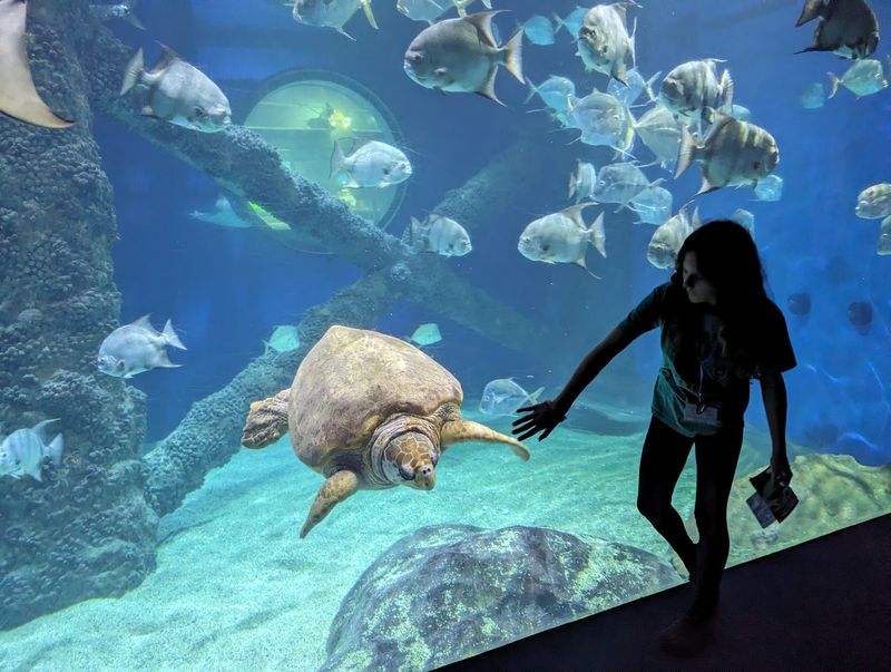 Virginia Aquarium & Marine Science Center, Virginia Beach, VA